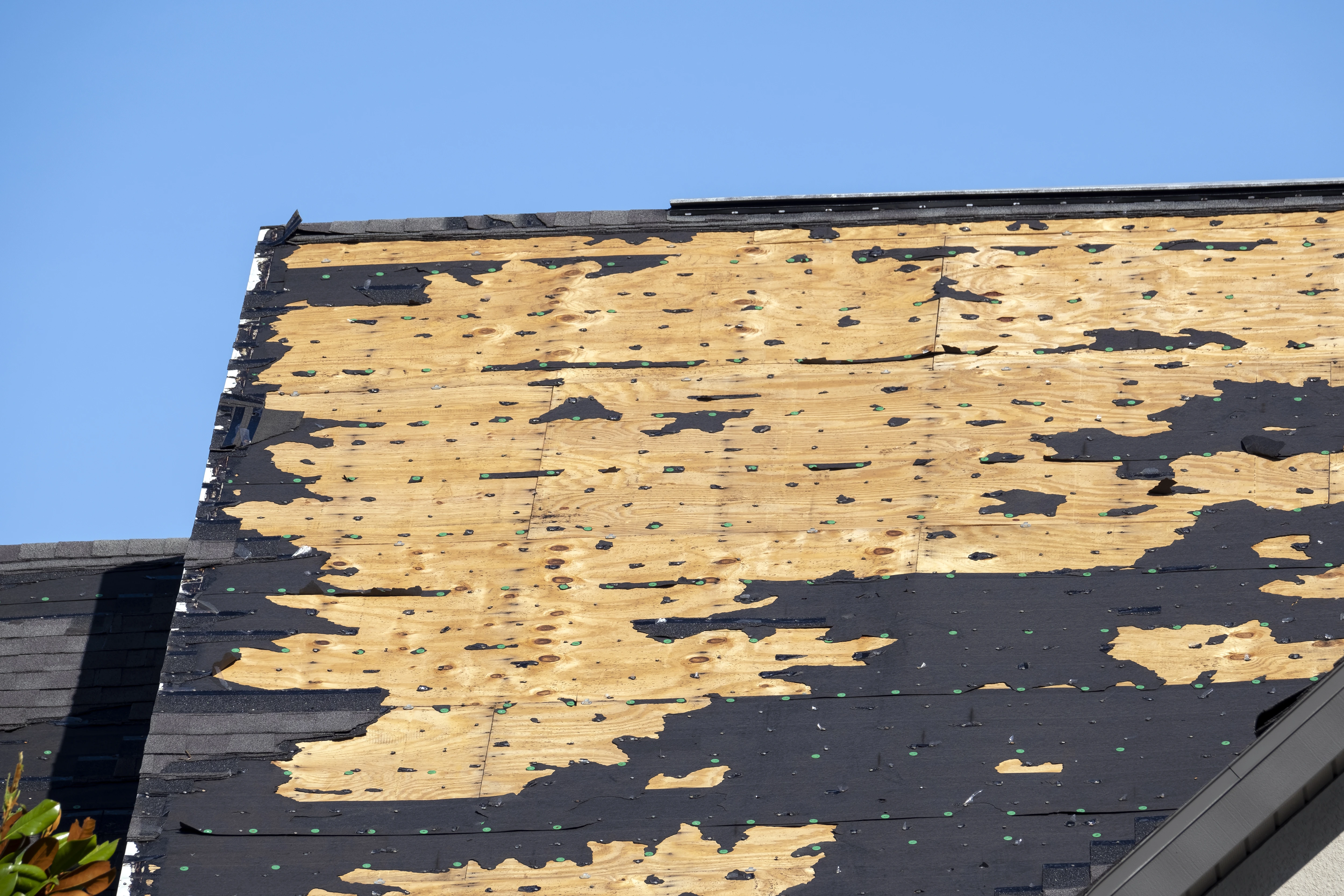 Roof Damage
