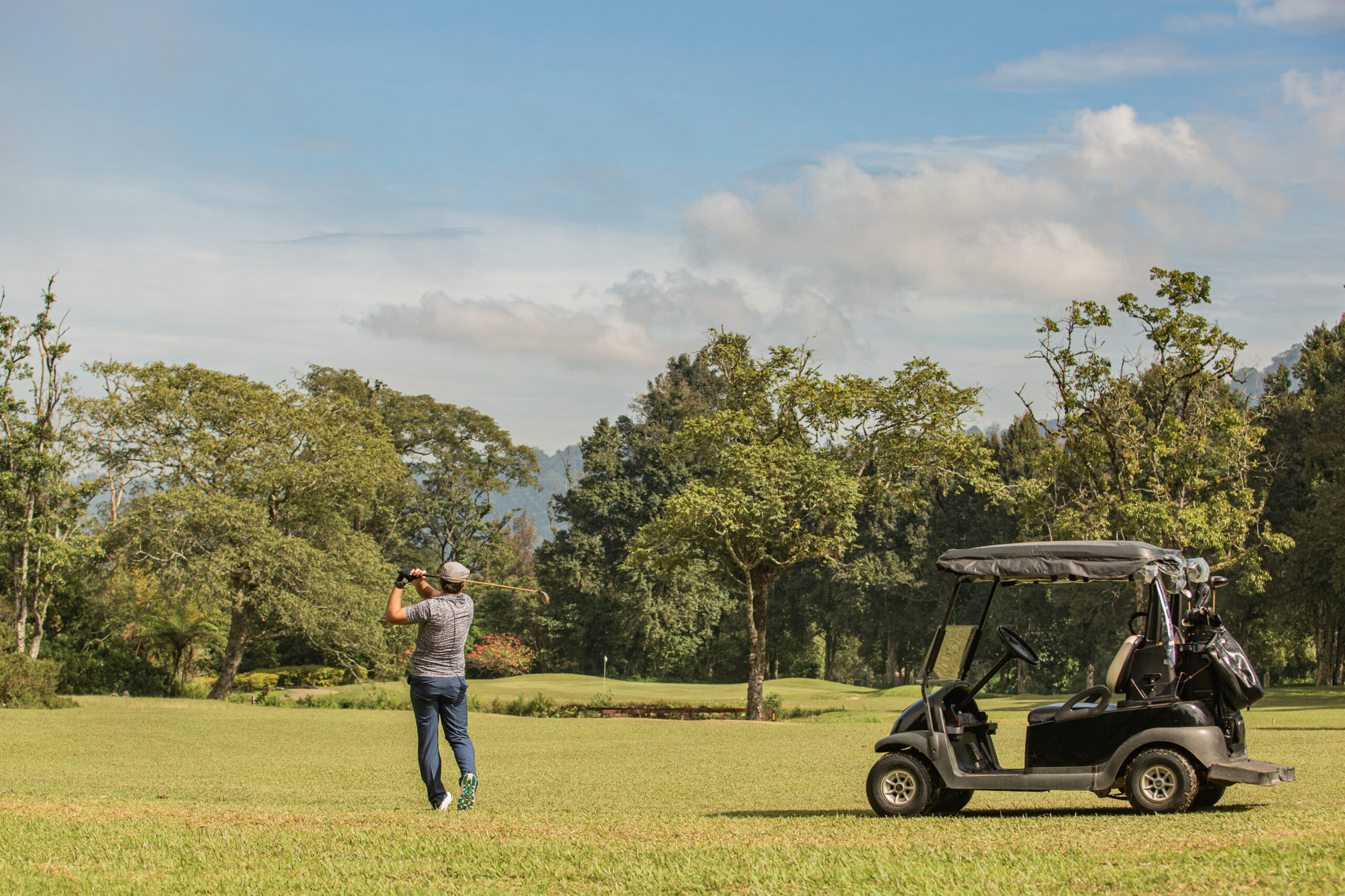 Golf Cart 
