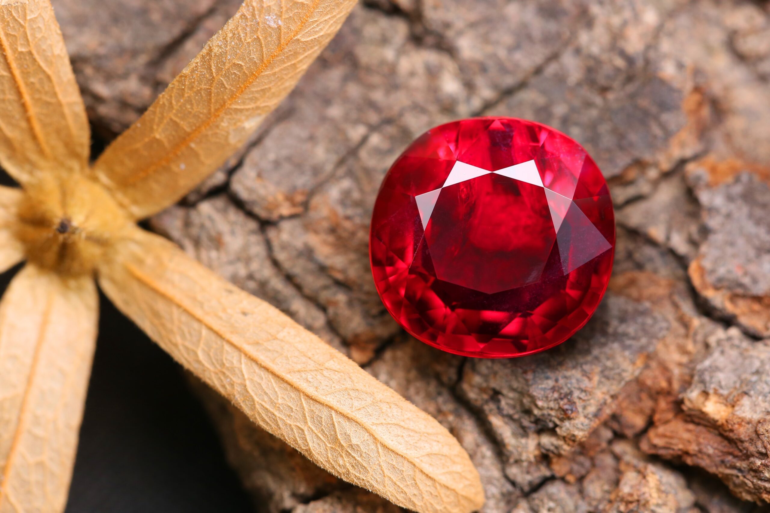 Garnet Perspective