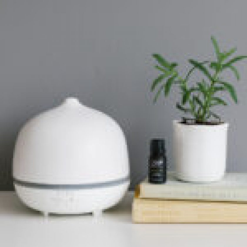 Air Purifier Vs Humidifier