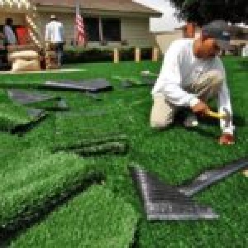 Artificial Grass or Turf