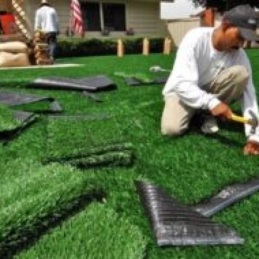 Artificial Grass or Turf