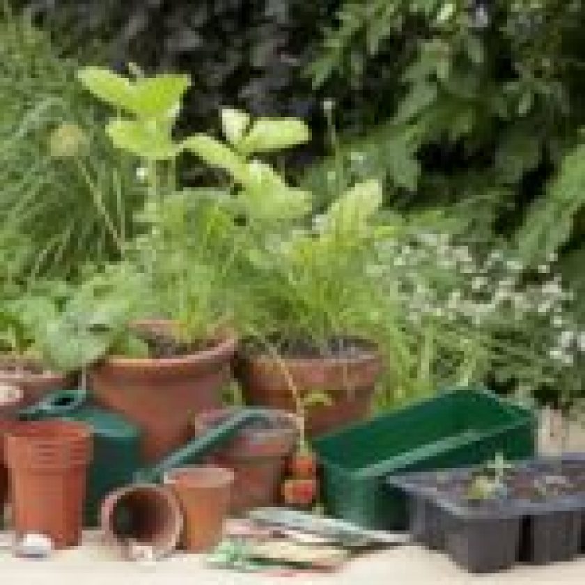 Beneficial Tips for your Garden