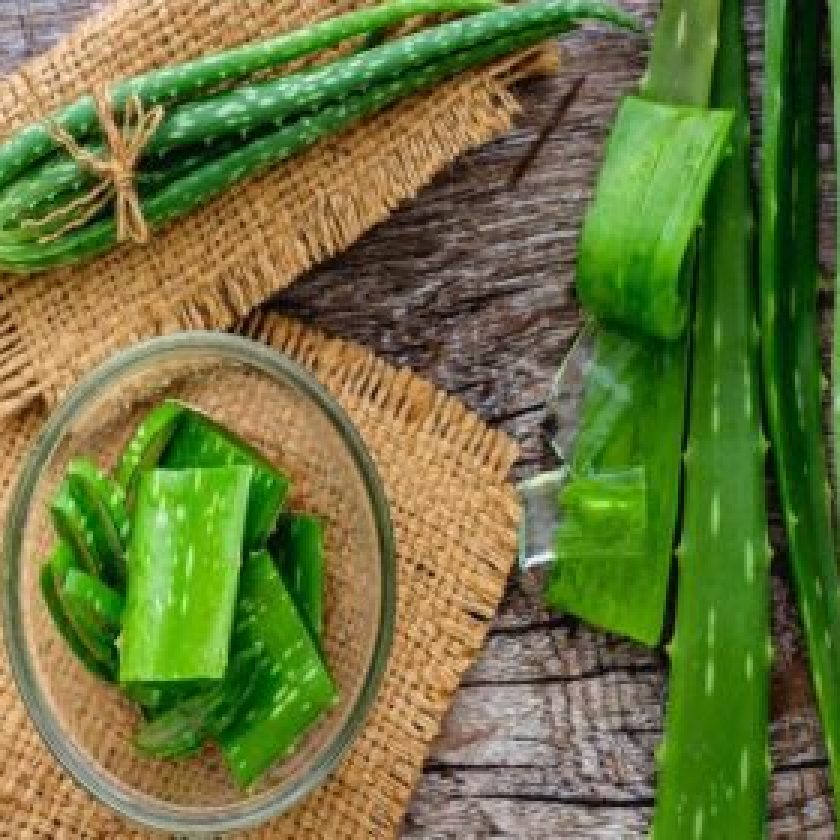 Benefits Of Aloe vera For Skin