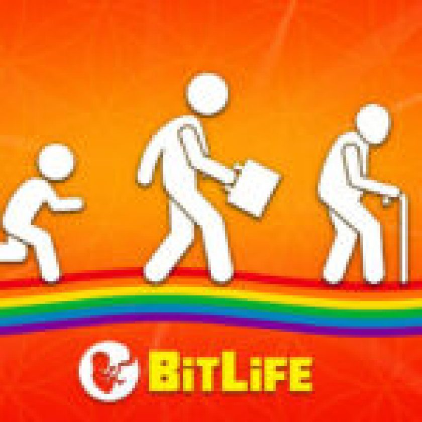 BitLife Application