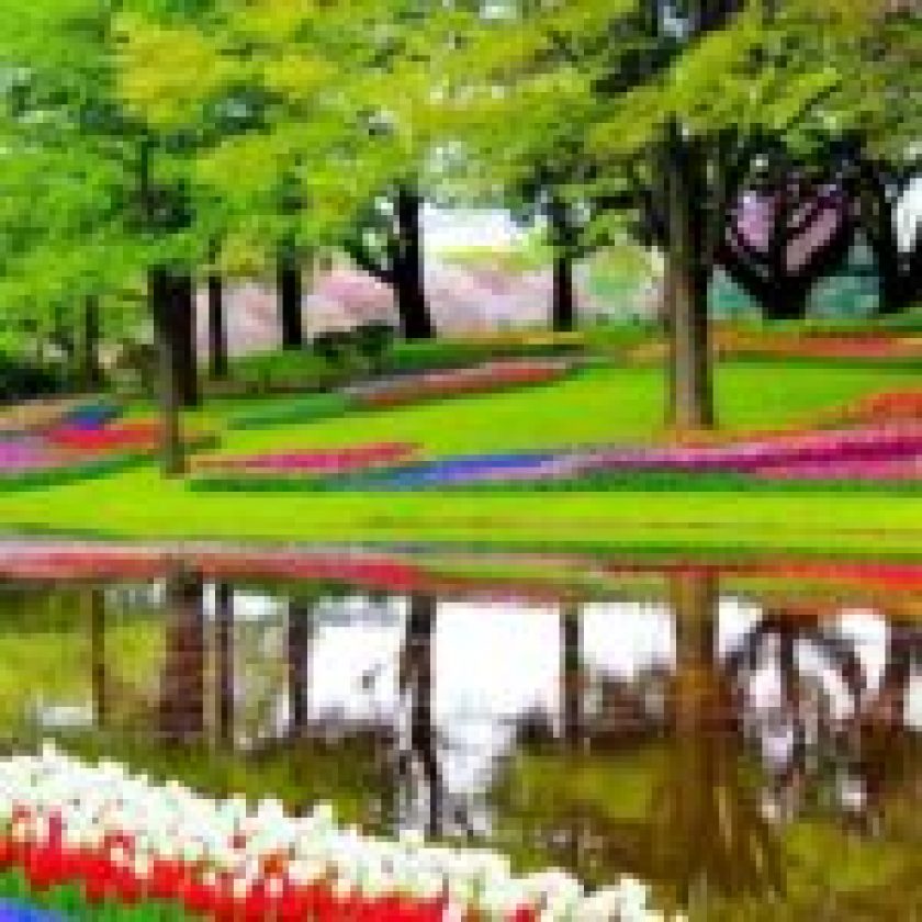 Botanical Gardens in the World