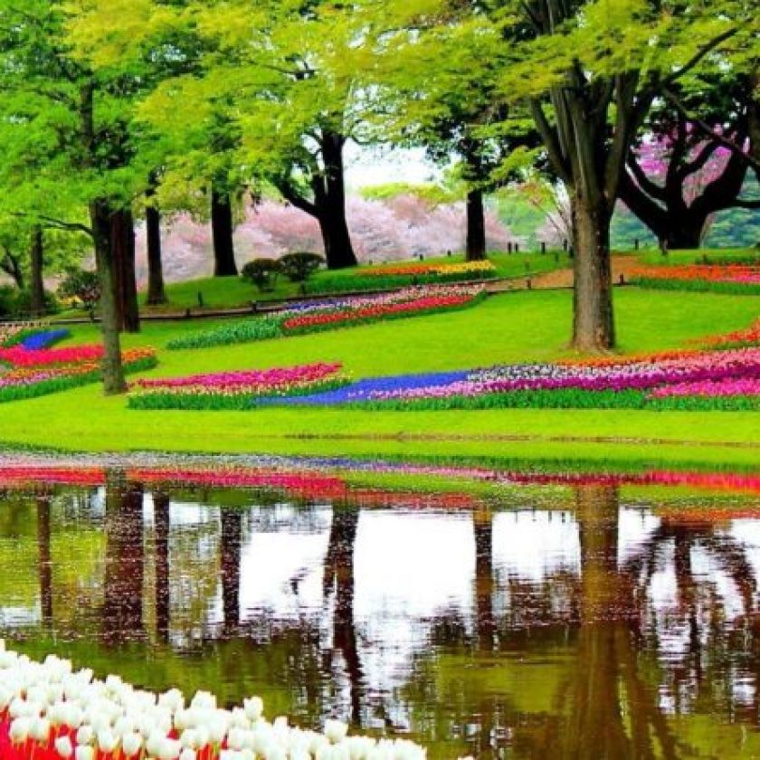 15 Best Botanical Gardens in the World that Everyone should Visit Live Enhanced