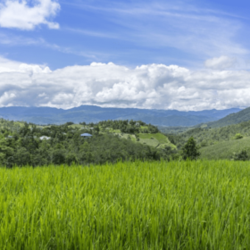 Buying Farmland a Good Investment