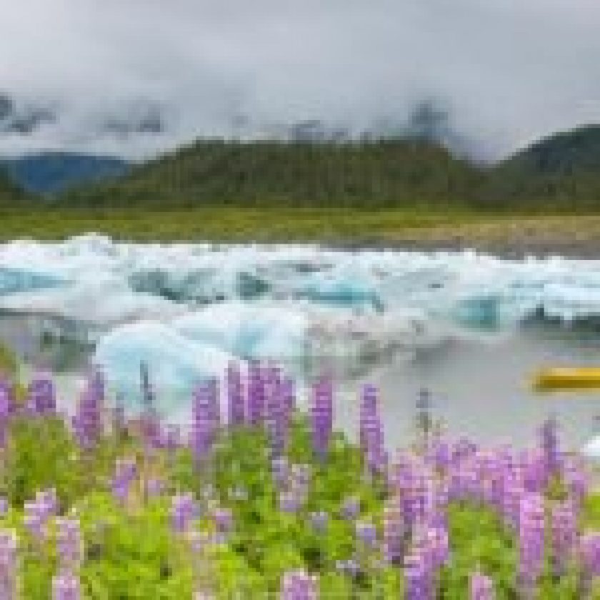 Chugach National Forest