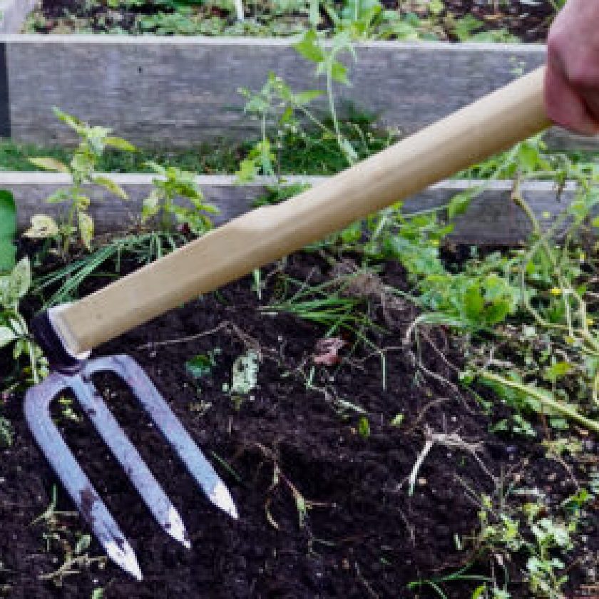 Cultivate the Soil Without a Cultivator by Double Engraving