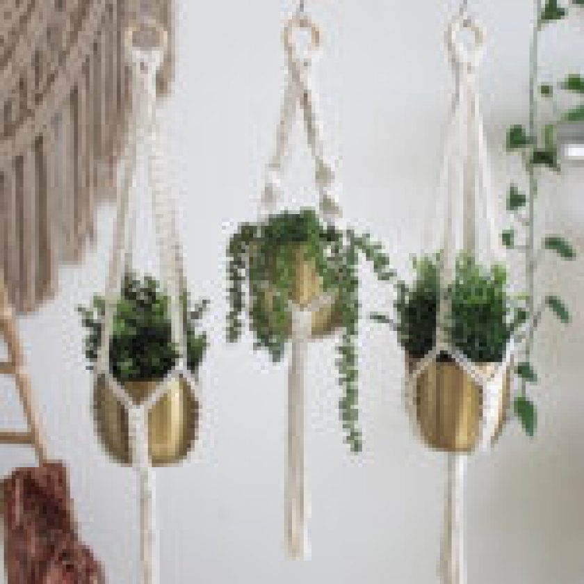 DIY plant hanger