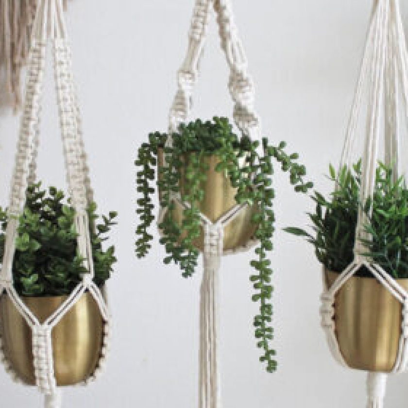 DIY plant hanger