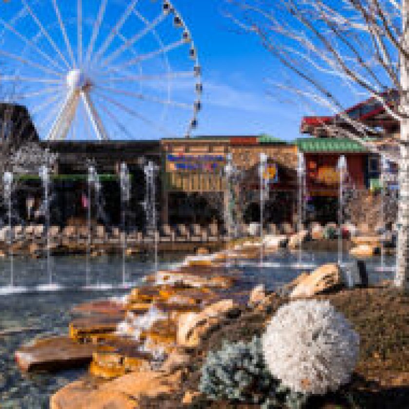 Family’s Pigeon Forge Vacation