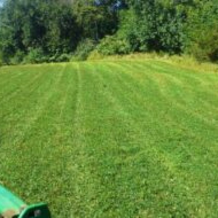 Growing Successful Food Plots
