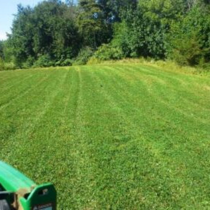 Growing Successful Food Plots