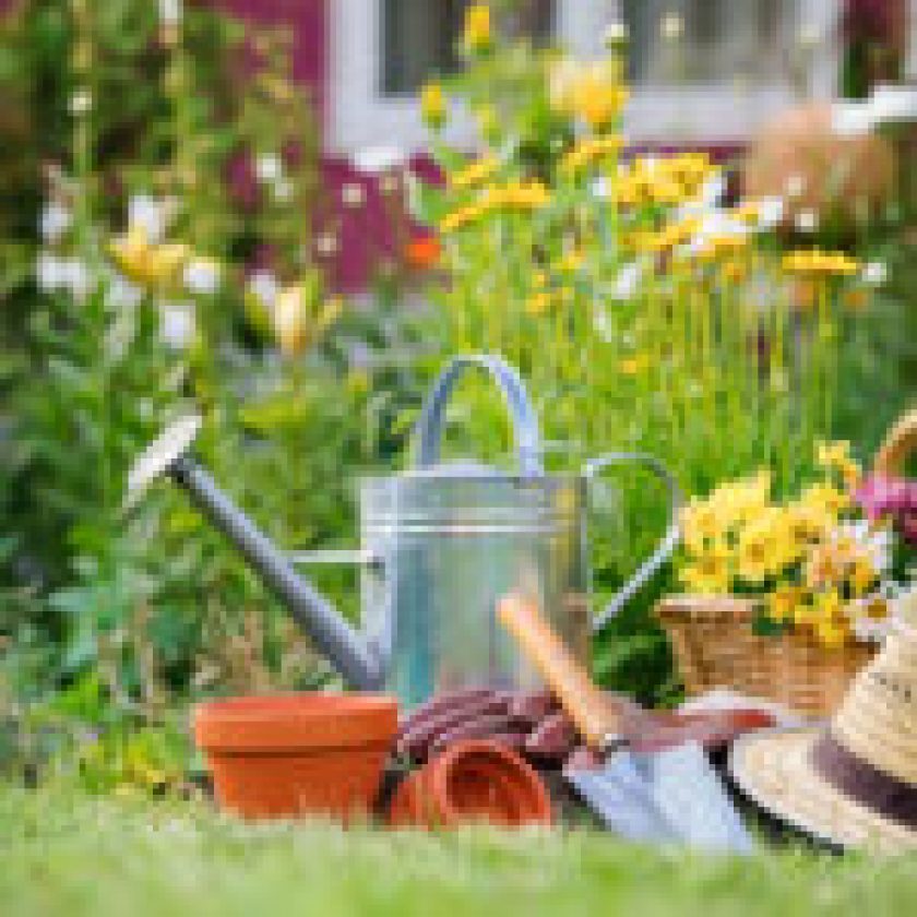 garden watering tips