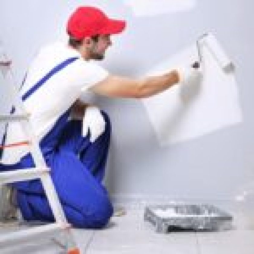 Hire Professional Painters