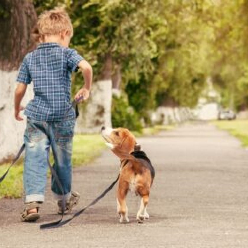 How Dogs Enrich Our Lives