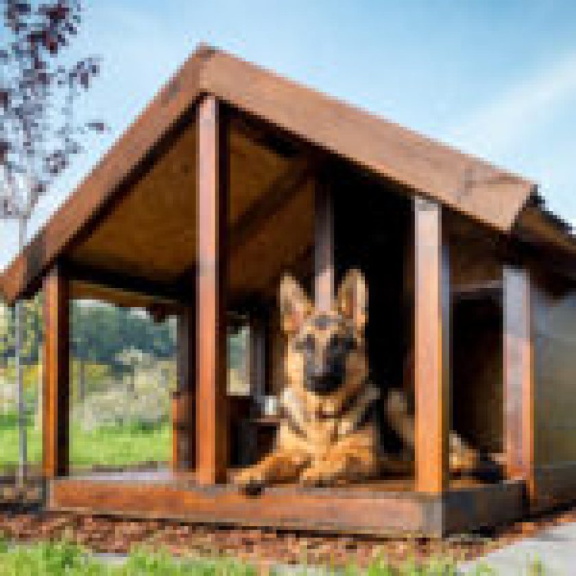 How-do-you-decorate-a-dog-house