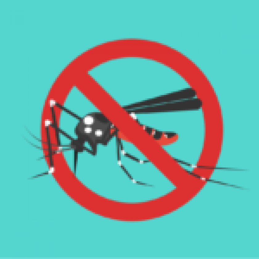 How to pervent Dengue