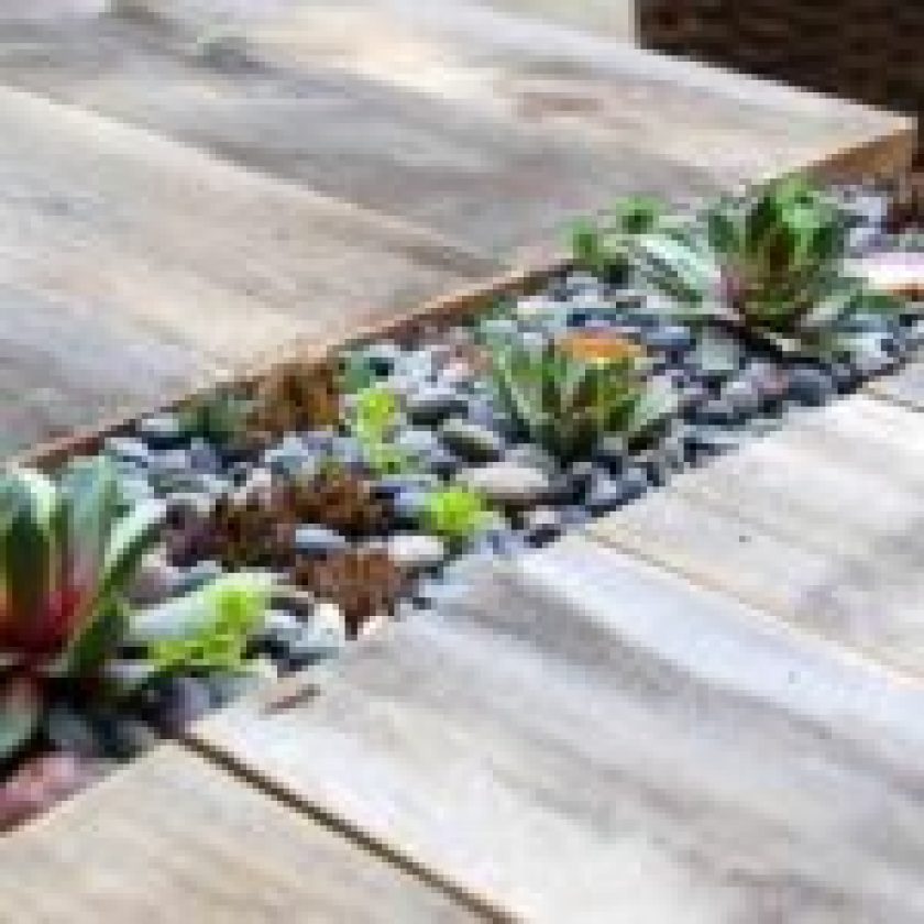 Innovative Planter Ideas