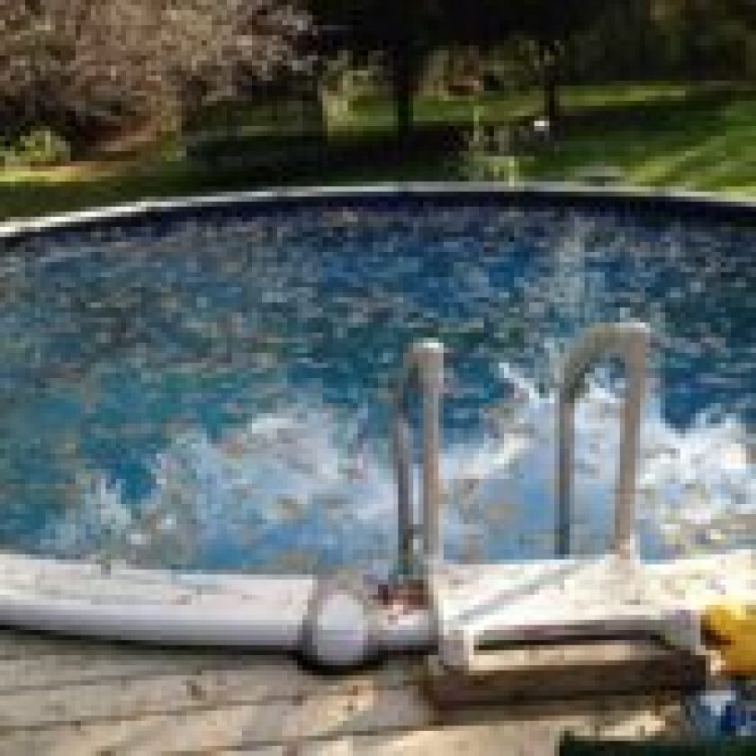 Keep Birds Away from Your Pool