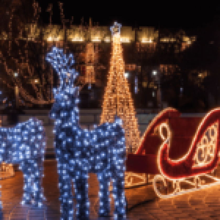 LED Christmas Lights 