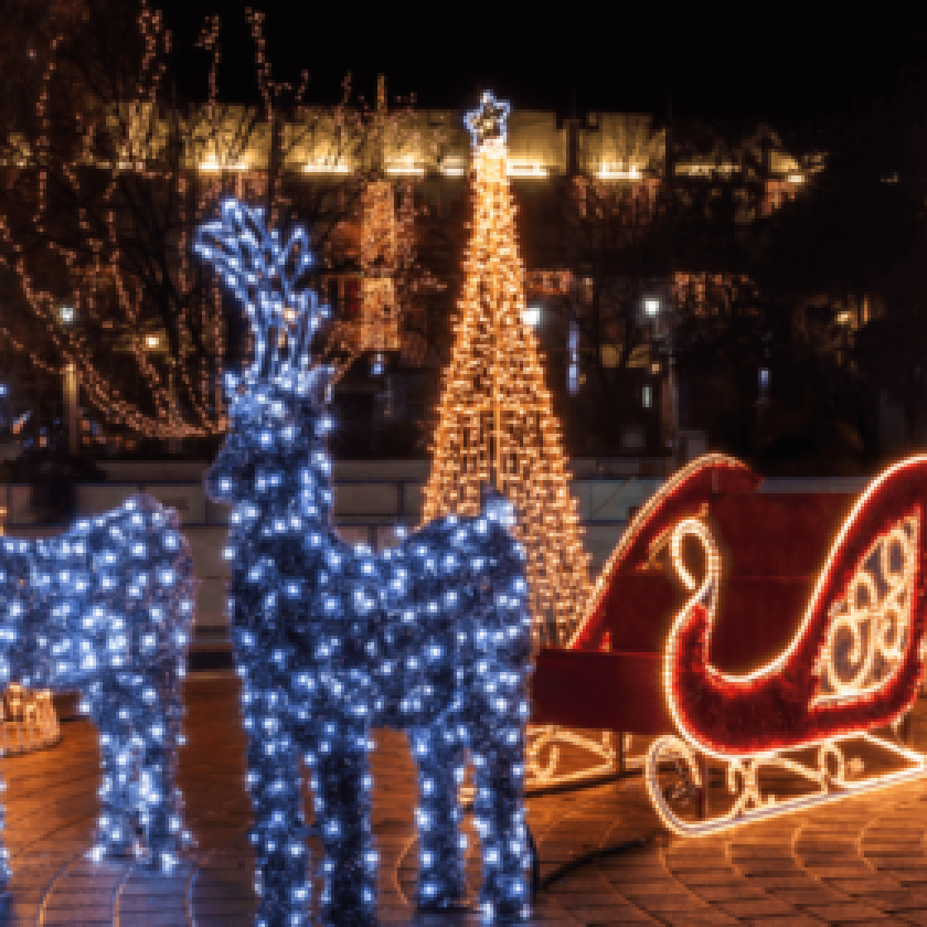LED Christmas Lights 
