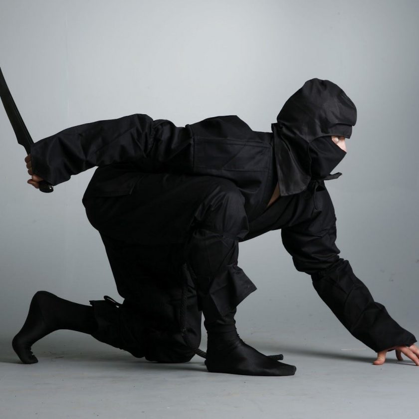 Ninjutsu Martial Arts Self Defense Techniques