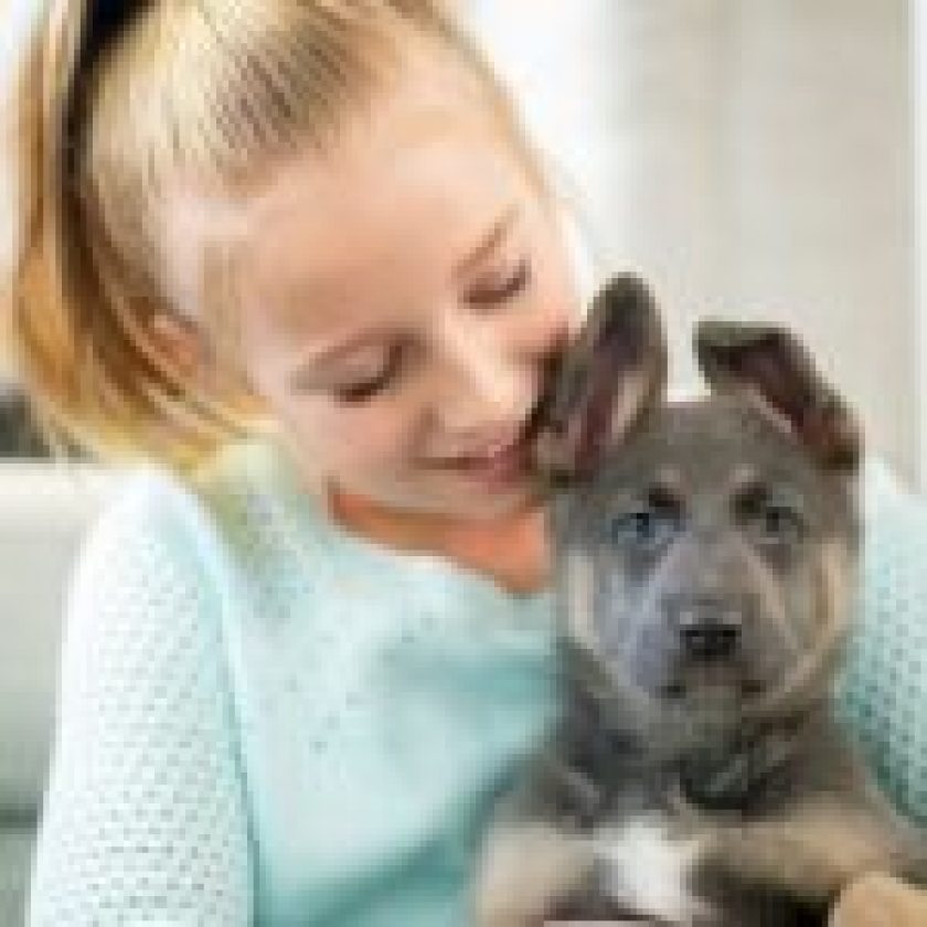 Puppy Care Guide for New Dog Parents