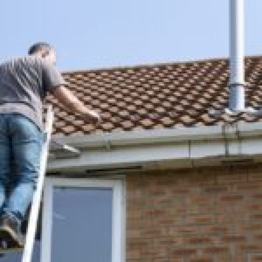 roof maintenance tips