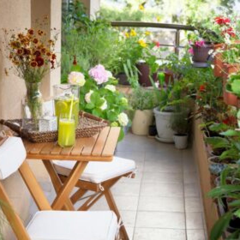 Tips and Tricks for an Amazing Garden