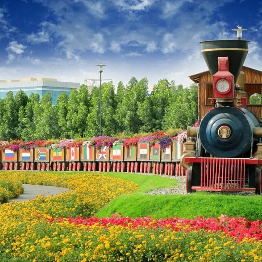beautiful flower garden pictures