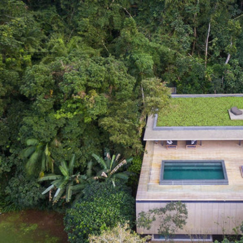 jungle house marcio kogan