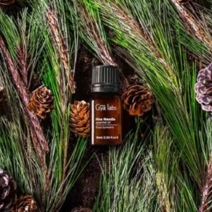 pine essential oil