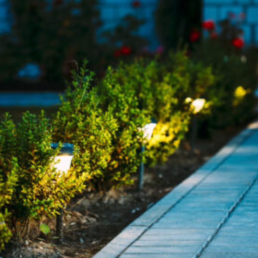 solar lights for gardens