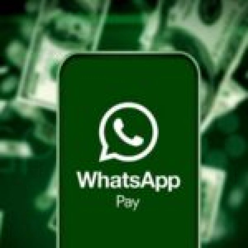 watsapp pay