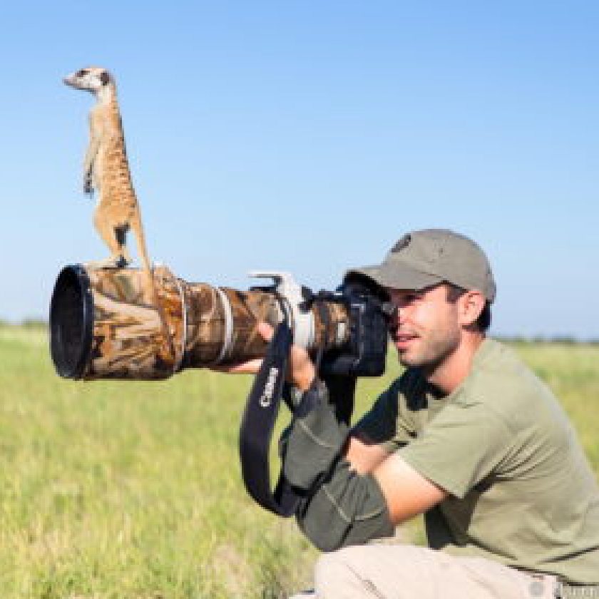 wildlife photographer