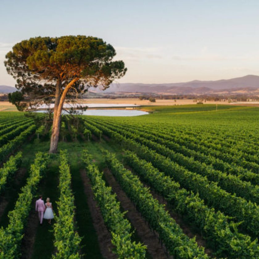 yarra valley wineries